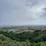 L'aviatore